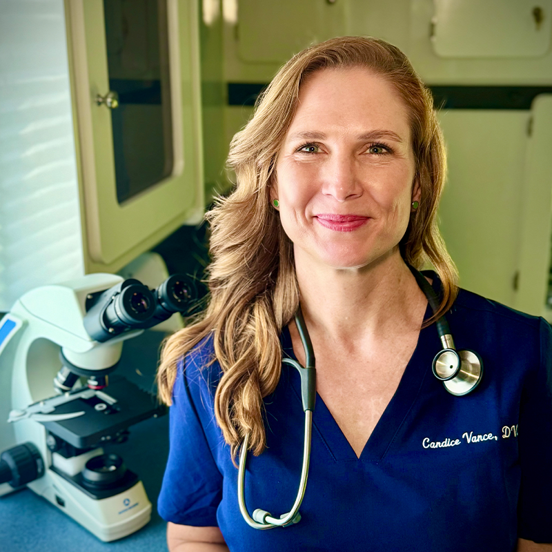 A veterinarian in blue scrubs with a stethoscope around her neck smiles in a lab setting, standing beside a microscope. Her name tag reads "Candice Vance, DVM.
