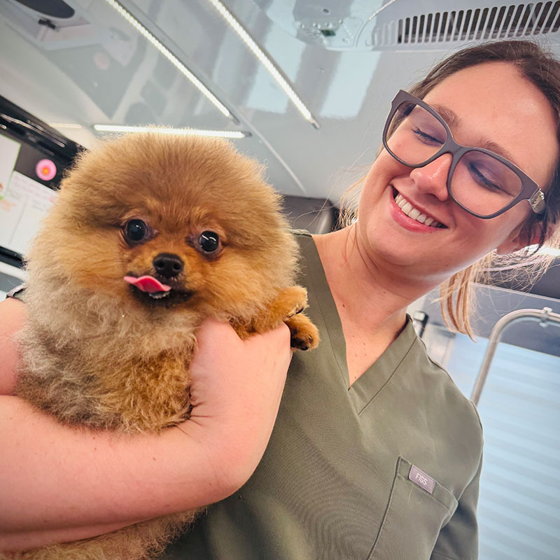A smiling veterinarian in scrubs holds a fluffy brown Pomeranian dog with its tongue sticking out inside a brightly lit room.